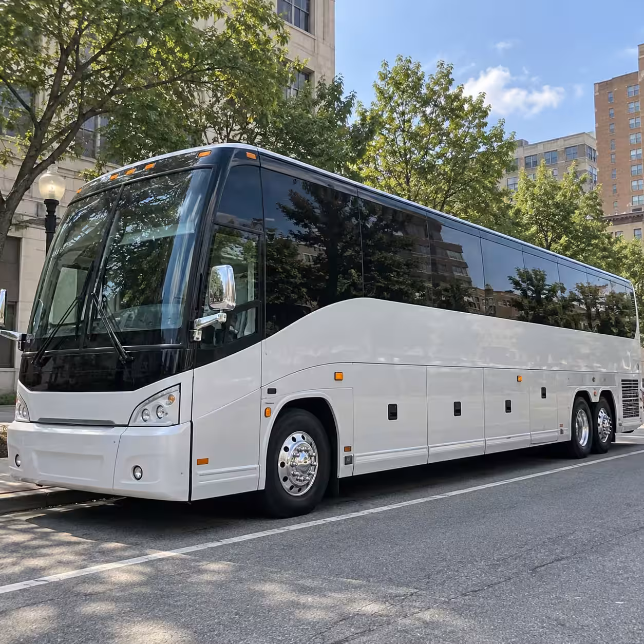 largo charter bus rentals for wedding guests across pinellas