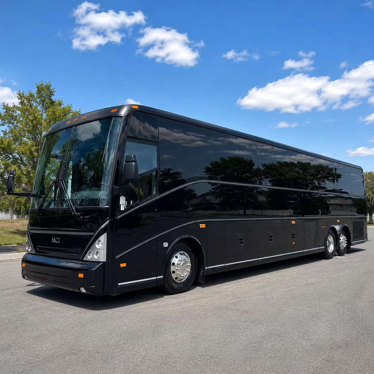 largo field trip transportation to clearwater marine aquarium